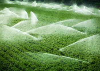 Investiții în irigații pentru agricultura Moldovei: aproape 7.000 de hectare ar putea fi deservite de două sisteme modernizate