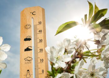 METEO // Soare și temperaturi pozitive. Câte grade vor fi astăzi