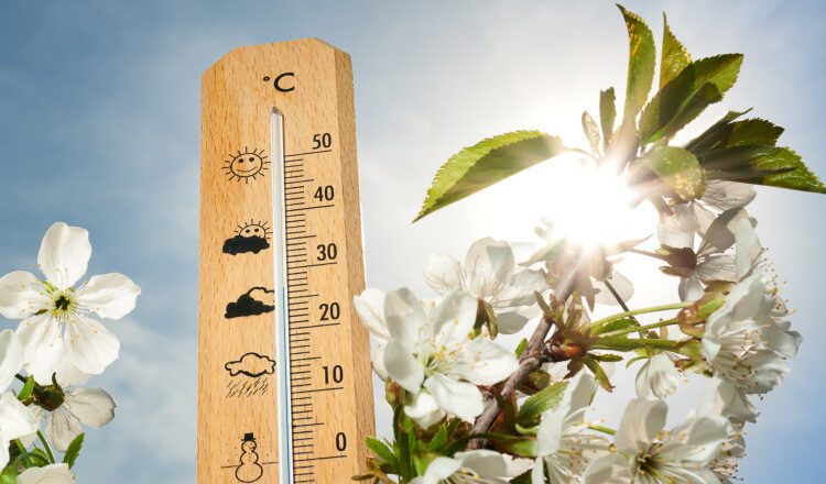 METEO // Soare și temperaturi pozitive. Câte grade vor fi astăzi