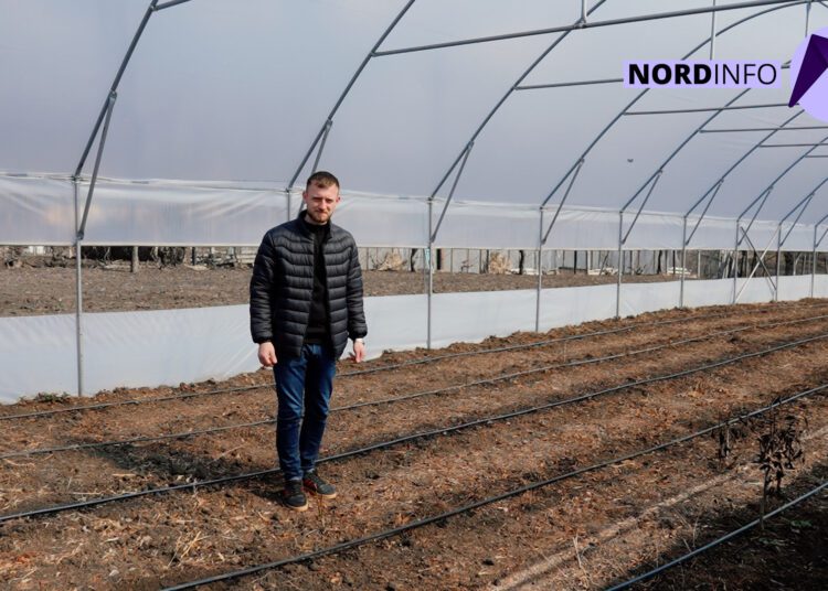 VIDEO // Un tânăr din Sîngerei investește în agricultură fără chimie