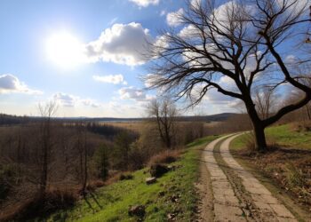 METEO // Temperaturi plăcute și cer senin: cum va fi vremea astăzi