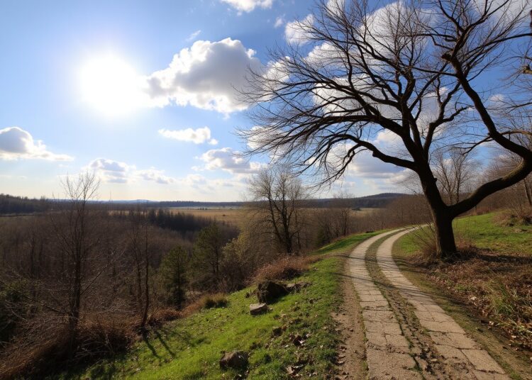 METEO // Temperaturi plăcute și cer senin: cum va fi vremea astăzi