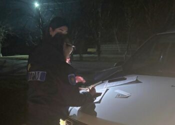 Incendiere de vegetație forestieră la Elizaveta: făptașul, depistat și sancționat cu 10 mii de lei