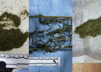 Percheziții în raionul Florești. Ce au depistat oamenii legii în cinci gospodării