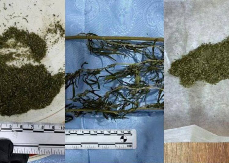 Percheziții în raionul Florești. Ce au depistat oamenii legii în cinci gospodării