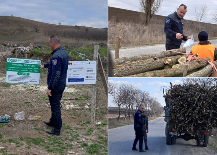 FOTO // Inspectorii de mediu din Glodeni în acțiune: amenzi pentru transport ilegal de lemn și arderea deșeurilor