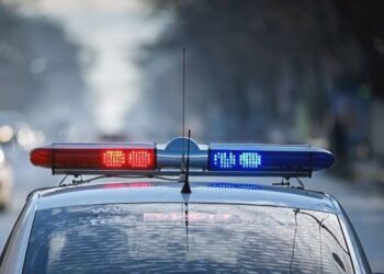 ВИДЕО // Пытались оформить кредит, используя данные другого человека. В Бельцах задержаны двое молодых людей