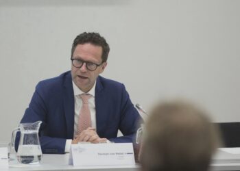 PAS va transmite Comisiei de la Veneția amendamentul prin care a fost numit Herman von Hebel în Comisia vetting