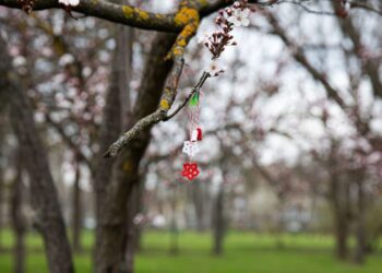 METEO // Cer variabil și temperaturi de până la +16 grade în Republica Moldova