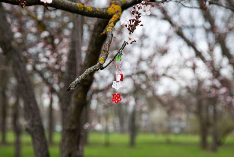 METEO // Cer variabil și temperaturi de până la +16 grade în Republica Moldova