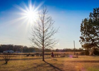 METEO // Soare și temperaturi ridicate. Câte grade vor fi astăzi