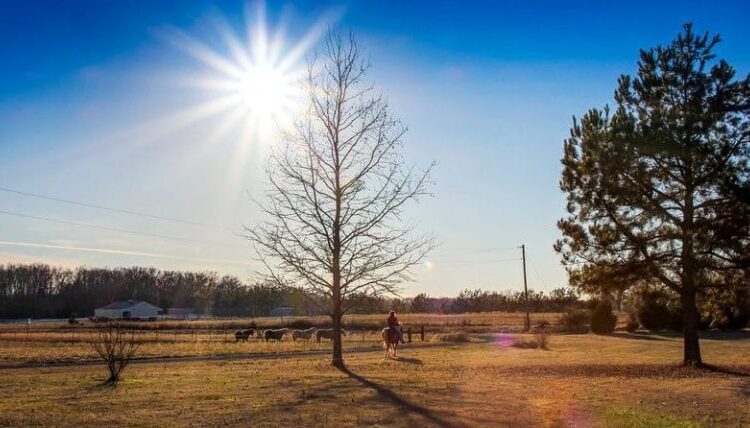 METEO // Soare și temperaturi ridicate. Câte grade vor fi astăzi
