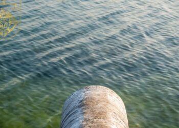 Poluare pe Nistru: Procuratura a pornit un dosar penal după instituirea stării de alertă de mediu