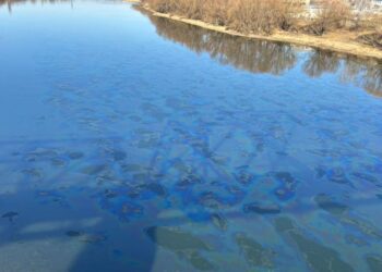 Substanța petrolieră continuă să se scurgă din Ucraina în Nistru. Restricții privind utilizarea apei în mai multe raioane din nordul țării