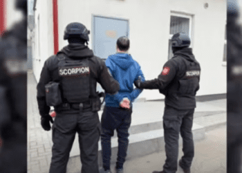 VIDEO // Rețea de droguri, destructurată în nordul țării: doi bărbați reținuți