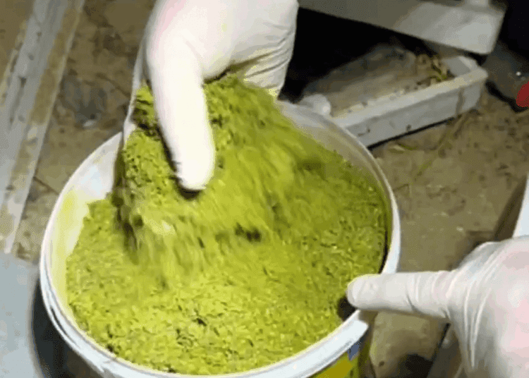 VIDEO // Droguri în valoare de cinci milioane de lei, ridicate în urma unei percheziții la Orhei