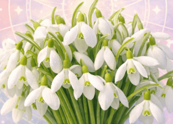 HOROSCOP // Ce aduce începutul de martie pentru fiecare zodie. Schimbări subtile și pași siguri