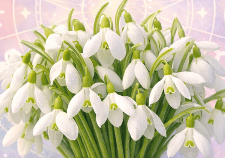 HOROSCOP // Ce aduce începutul de martie pentru fiecare zodie. Schimbări subtile și pași siguri