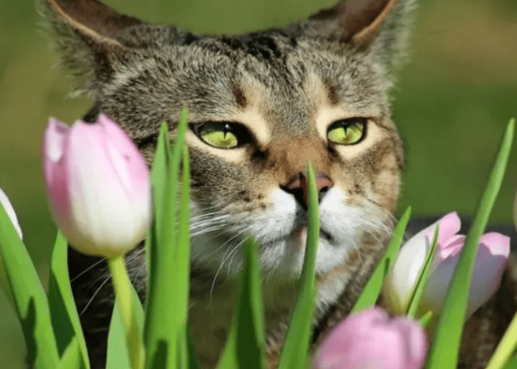 METEO // Vreme caldă pe timp de zi. Câte grade vor fi astăzi