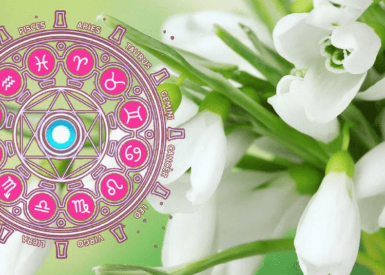 HOROSCOP // Energie nouă și direcții clare pentru fiecare zodie