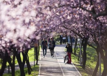 METEO // Zi frumoasă pentru plimbări. Câte grade vor fi astăzi