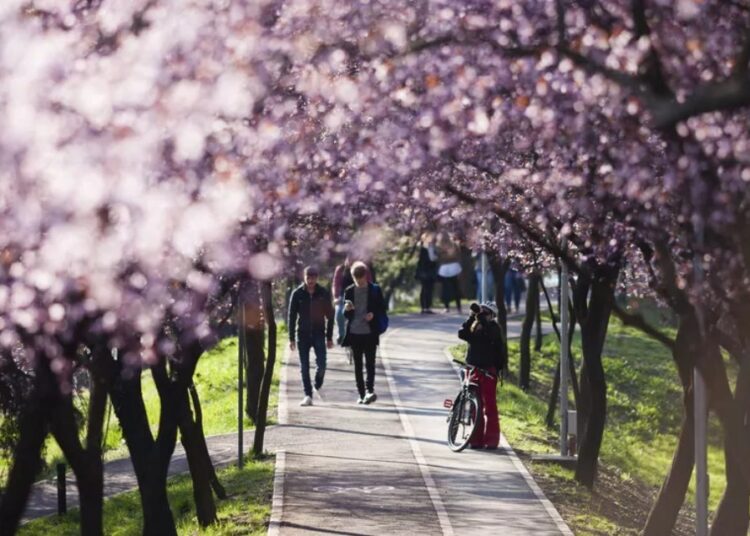 METEO // Zi frumoasă pentru plimbări. Câte grade vor fi astăzi