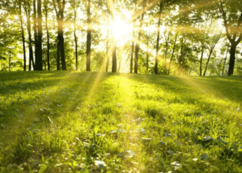 METEO // Zi cu soare și temperaturi de primăvară