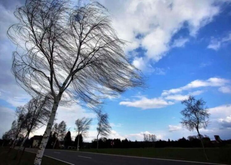 METEO // Cod Galben de vânt și vreme rece. Câte grade vor fi astăzi
