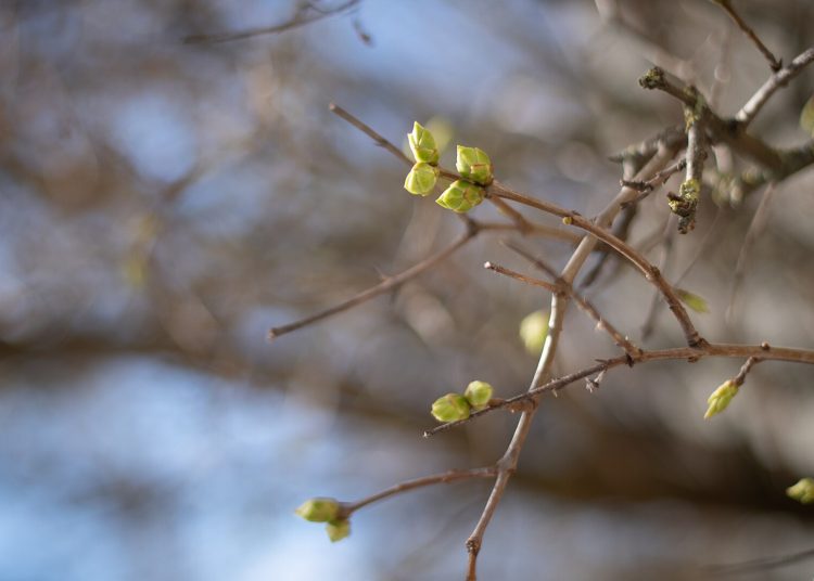METEO // Vreme rece și cer noros. Câte grade vor fi astăzi