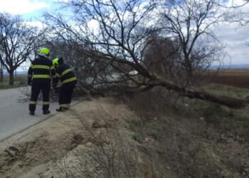 Vântul puternic a doborât copaci pe trasee și a provocat situații de risc. Intervenția salvatorilor în nordul țării