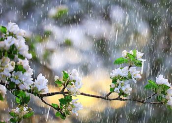 METEO // Temperaturi înalte, ploi și cer noros. Cum va fi vremea astăzi