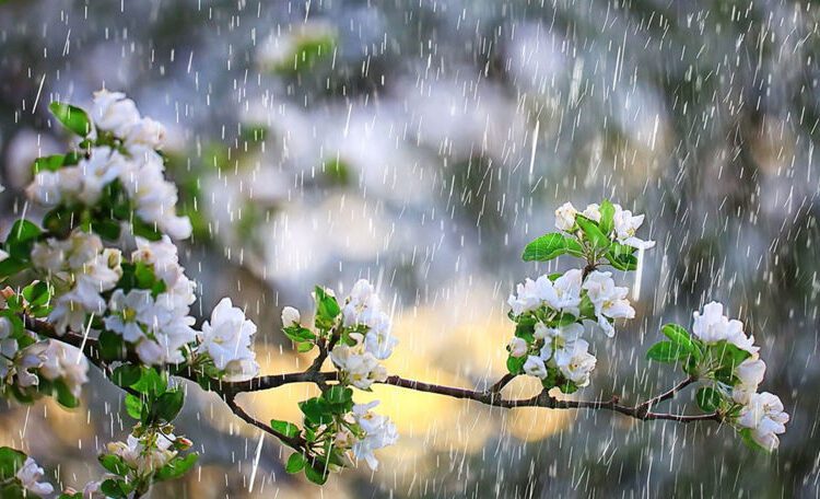 METEO // Temperaturi înalte, ploi și cer noros. Cum va fi vremea astăzi