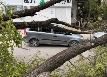 ВИДЕО // Сильный ветер нанес ущерб в Бельцах: поваленные деревья и повреждённые автомобили