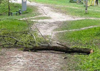 Un bătrân a murit, după ce un copac a căzut peste el într-un parc din Chișinău