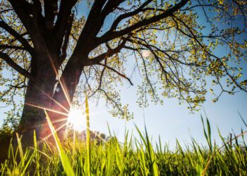 METEO // Cer variabil în toată țara. Câte grade vor fi astăzi