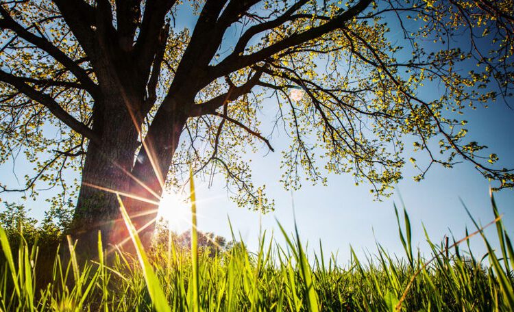 METEO // Cer variabil în toată țara. Câte grade vor fi astăzi