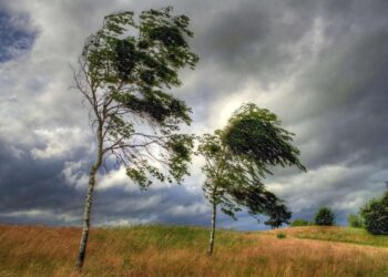Meteorologii prognozează Cod Galben de vânt pentru următoarele două zile