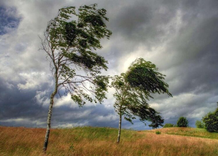 Meteorologii prognozează Cod Galben de vânt pentru următoarele două zile