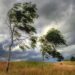 Meteorologii prognozează Cod Galben de vânt pentru următoarele două zile