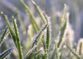 Luna mai vine cu înghețuri. Meteorologii au emis Cod Galben de îngheț pentru nordul și centrul țării