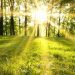 METEO // Cer variabil și temperaturi medii. Câte grade vor fi astăzi