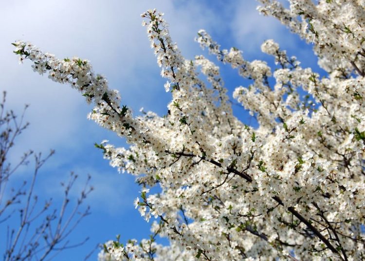 După vânt, vine frigul: meteorologii anunță Cod Galben de îngheț pe întreg teritoriul țării