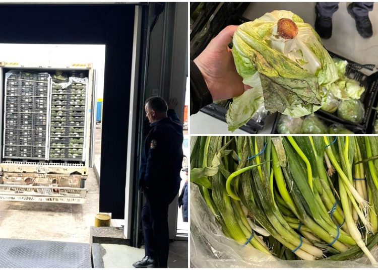 FOTO // Peste 10 tone de verdeață de import, distruse