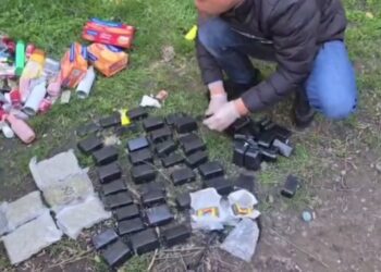 VIDEO // Droguri mascate în panetoane și paste făinoase, depistate la Chișinău. Erau aduse din Spania