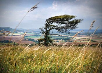 Atenție! Meteorologii prognozează Cod Portocaliu de vânt