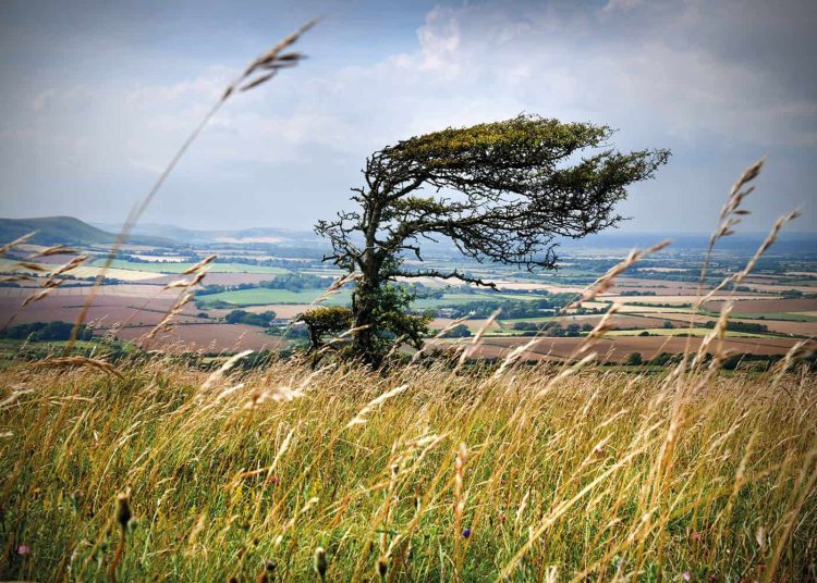 Atenție! Meteorologii prognozează Cod Portocaliu de vânt