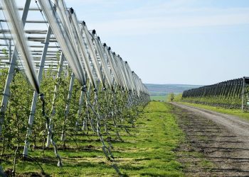 Ministra Agriculturii a fost la Edineț: investiții mari într-o gospodărie agricolă performantă