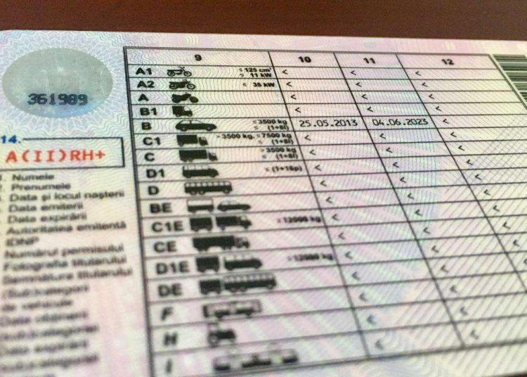 A vrut permise în Moldova și Germania, dar s-a ales cu dosar penal