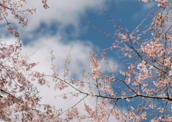 METEO // Vreme rece, cer noros și ploi în mai multe localități din țară. Câte grade vor fi astăzi