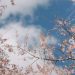 METEO // Vreme rece, cer noros și ploi în mai multe localități din țară. Câte grade vor fi astăzi